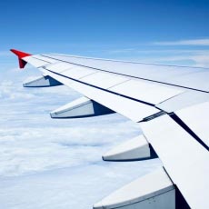 Wing