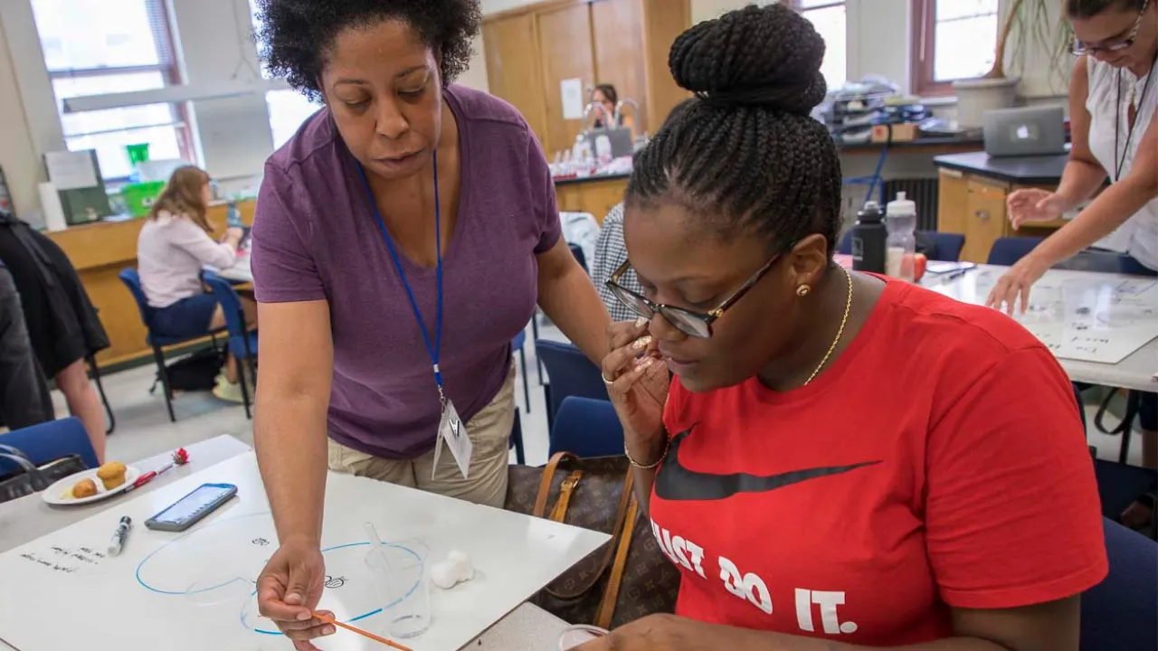 Stem Teachers NYC